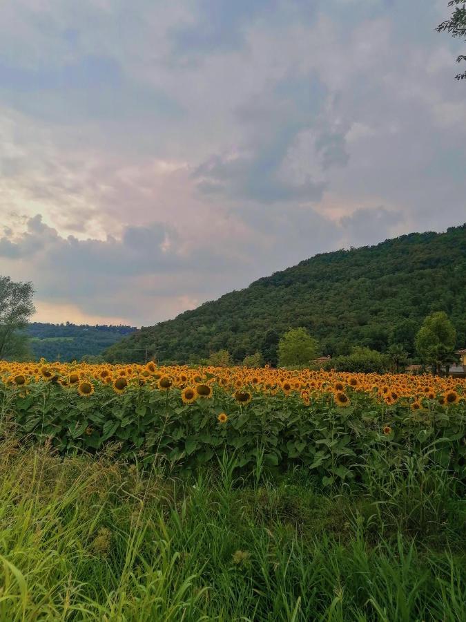 Ca' Dei Berici - Residence Ad Arcugnano Grancare Екстер'єр фото