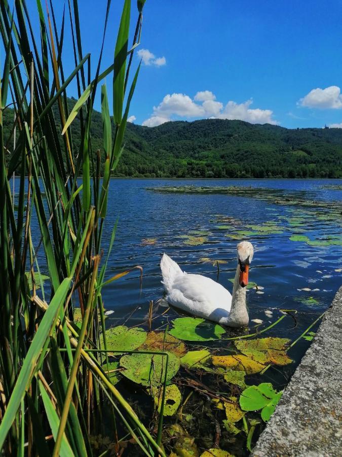 Ca' Dei Berici - Residence Ad Arcugnano Grancare Екстер'єр фото