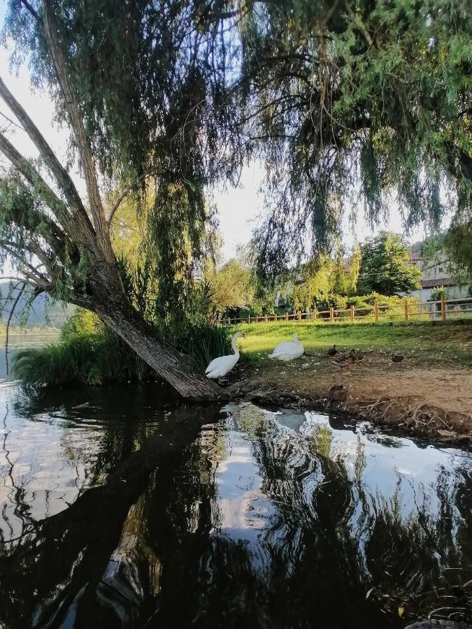 Ca' Dei Berici - Residence Ad Arcugnano Grancare Екстер'єр фото