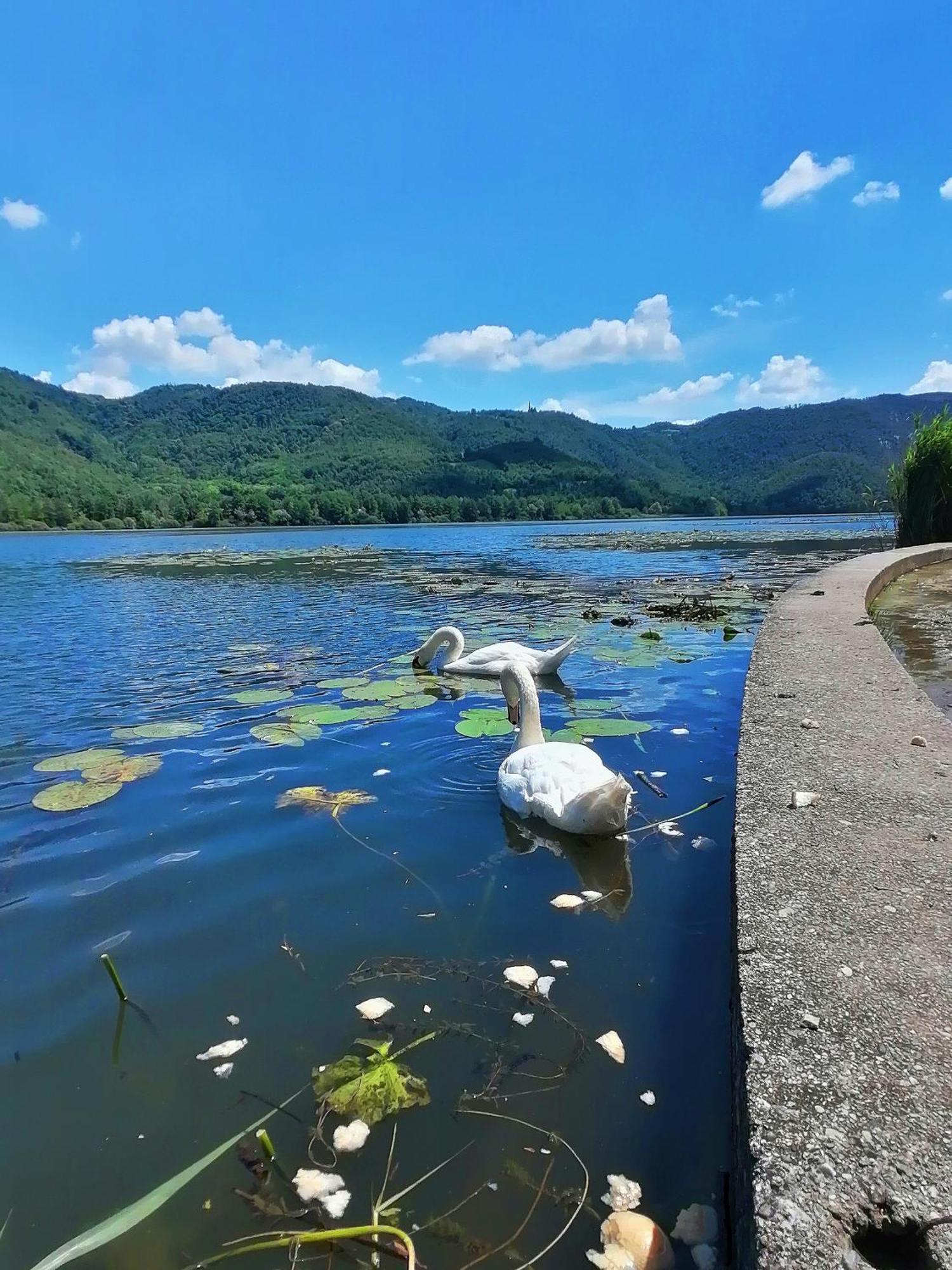 Ca' Dei Berici - Residence Ad Arcugnano Grancare Номер фото